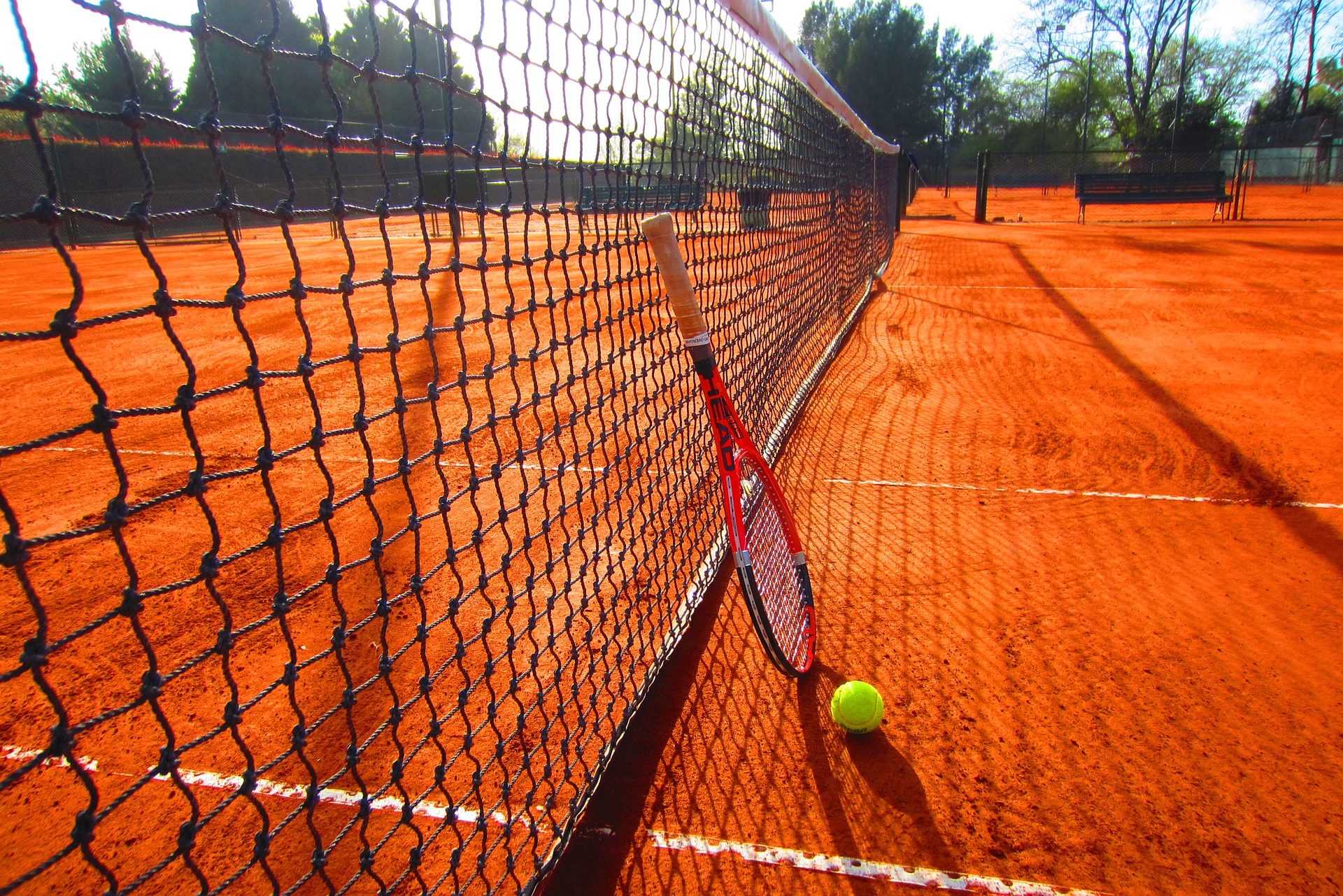 Tennisclub Ebstorf - 1 Schläger mit Ball lehnt gegen ein Tennisnetz.